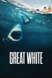 Beyaz Köpekbalığı -Seyret