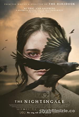Bülbül (The Nightingale)-Seyret