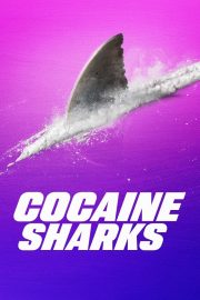Cocaine Sharks -Seyret